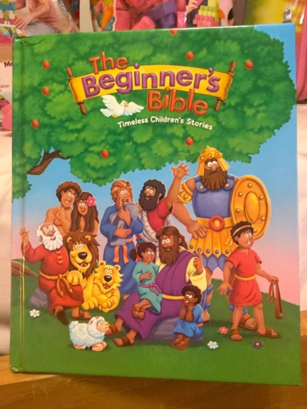The Beginner's Bible